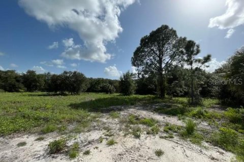 Land in Okeechobee, Florida № 669321 - photo 6