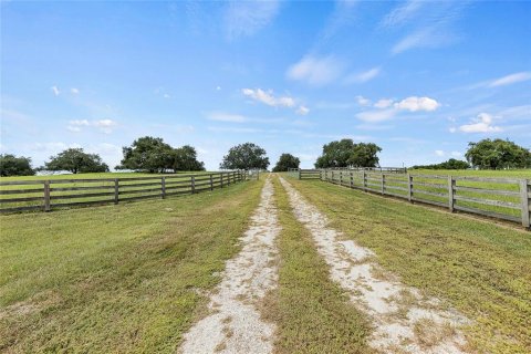 Terreno en venta en Clermont, Florida № 1382674 - foto 26