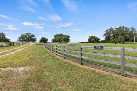 Terreno en venta en Clermont, Florida № 1382674 - foto 2