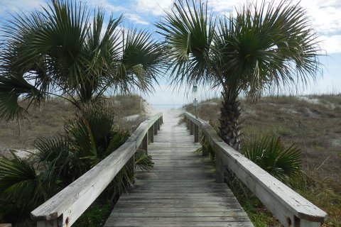 Villa ou maison à louer à Neptune Beach, Floride: 2 chambres, 76.92 m2 № 765806 - photo 26