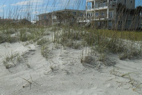 Villa ou maison à louer à Neptune Beach, Floride: 2 chambres, 76.92 m2 № 765806 - photo 30