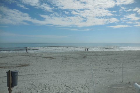 Villa ou maison à louer à Neptune Beach, Floride: 2 chambres, 76.92 m2 № 765806 - photo 28