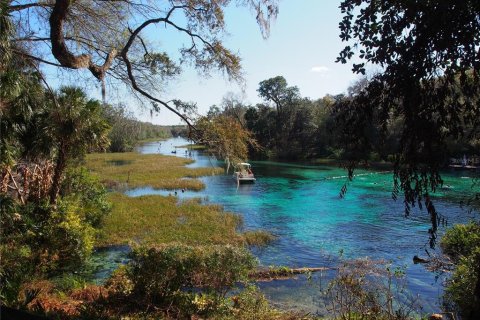 Terreno en venta en Dunnellon, Florida № 1365055 - foto 8