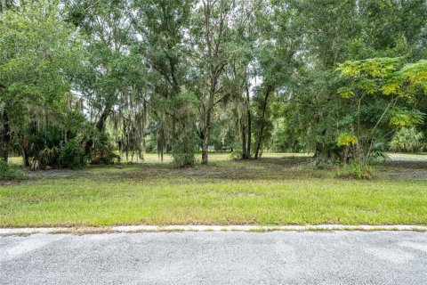 Land in Oviedo, Florida № 1365087 - photo 5