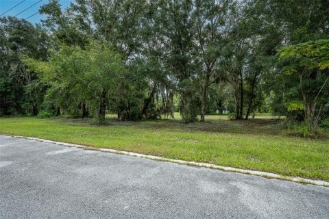 Land in Oviedo, Florida № 1365087 - photo 7