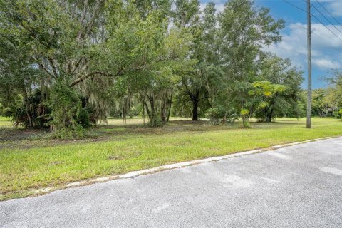 Land in Oviedo, Florida № 1365087 - photo 6