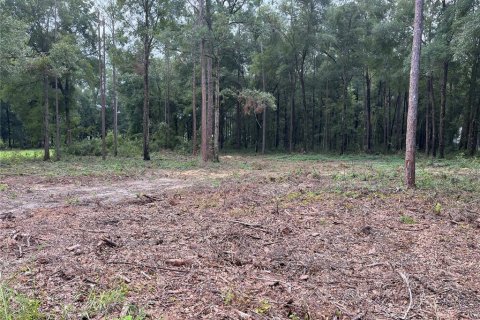 Land in Ocala, Florida № 1384798 - photo 2