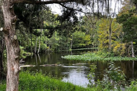 Terreno en venta en Silver Springs Shores, Florida № 1365158 - foto 20