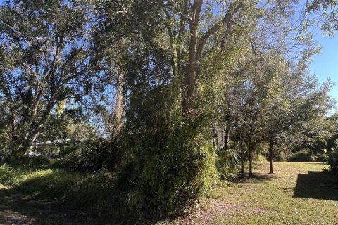 Terreno en venta en Okeechobee, Florida № 830697 - foto 1