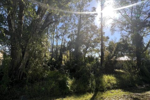 Купить земельный участок в Окичоби, Флорида № 830697 - фото 2