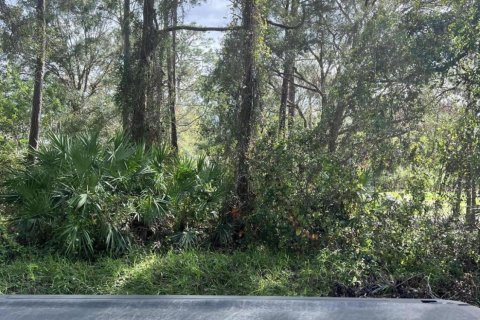 Terrain à vendre à Okeechobee, Floride № 830697 - photo 5