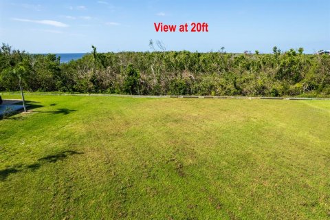 Terreno en venta en Port Charlotte, Florida № 411676 - foto 10