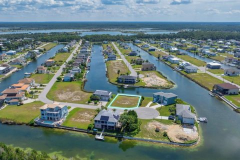 Land in Hernando Beach, Florida № 1334763 - photo 10