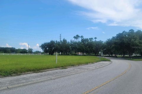 Terreno en venta en Zephyrhills, Florida № 1334789 - foto 3