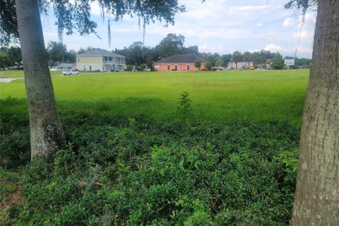 Terrain à vendre à Zephyrhills, Floride № 1334789 - photo 6