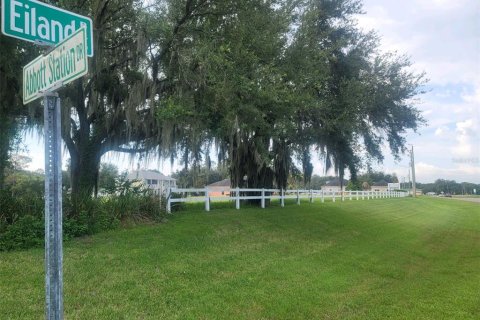 Land in Zephyrhills, Florida № 1334789 - photo 1