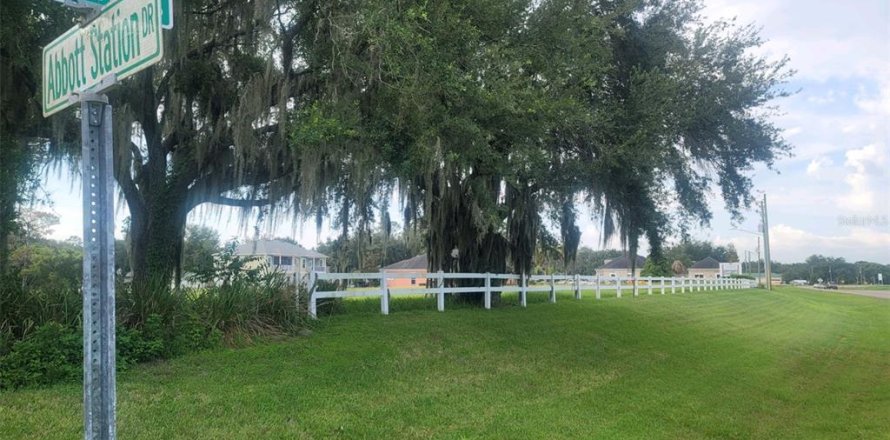 Terrain à Zephyrhills, Floride № 1334789