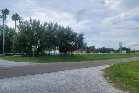 Land in Zephyrhills, Florida № 1334789 - photo 2