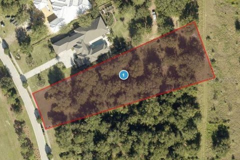 Terreno en venta en Montverde, Florida № 1365082 - foto 4