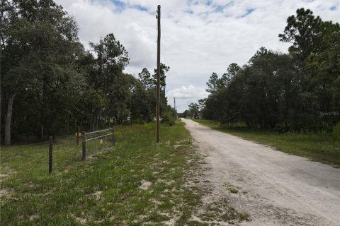 Terrain à vendre à Brooksville, Floride № 1362926 - photo 5