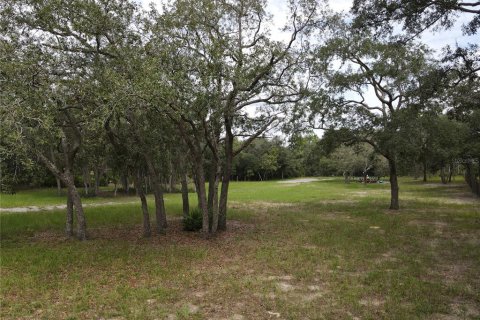 Terrain à vendre à Brooksville, Floride № 1362926 - photo 4