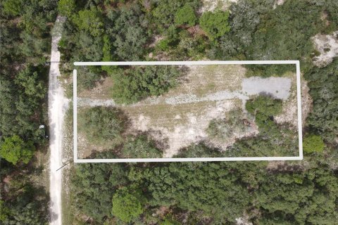 Terreno en venta en Brooksville, Florida № 1362926 - foto 1