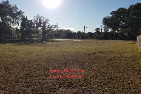 Land in Okeechobee, Florida № 1003812 - photo 7