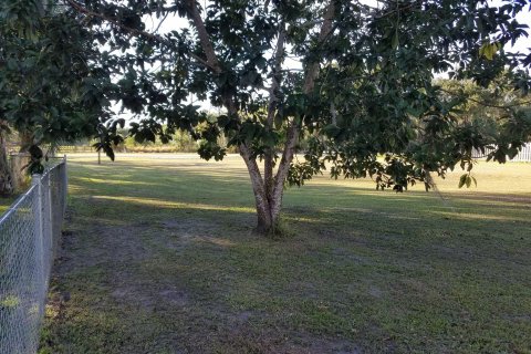 Land in Okeechobee, Florida № 1003812 - photo 5