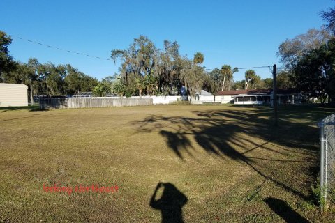 Land in Okeechobee, Florida № 1003812 - photo 6