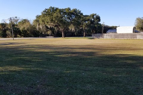 Land in Okeechobee, Florida № 1003812 - photo 11