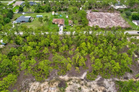 Terreno en venta en Lehigh Acres, Florida № 1293146 - foto 5