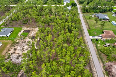 Terreno en venta en Lehigh Acres, Florida № 1293146 - foto 4