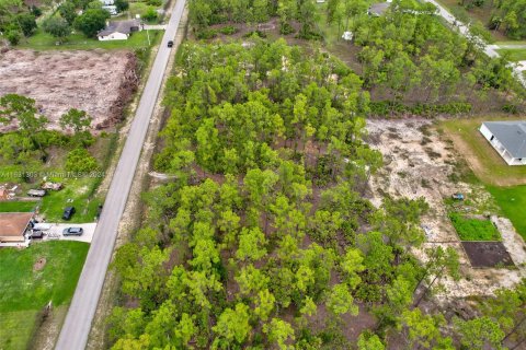 Terreno en venta en Lehigh Acres, Florida № 1293146 - foto 3