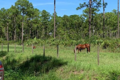Купить земельный участок в Уэст-Палм-Бич, Флорида № 80187 - фото 1