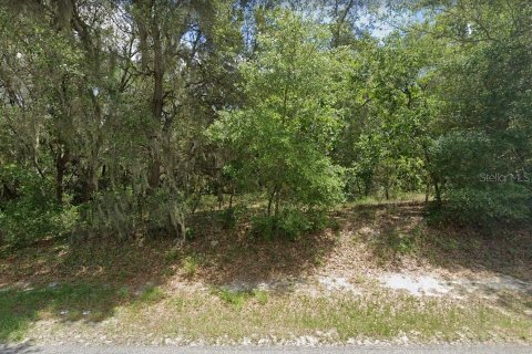 Land in Leesburg, Florida № 729807 - photo 1