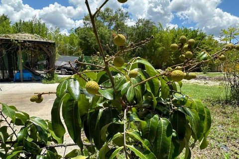 Villa ou maison à vendre à Saint Cloud, Floride: 5 chambres, 376.63 m2 № 1245437 - photo 7