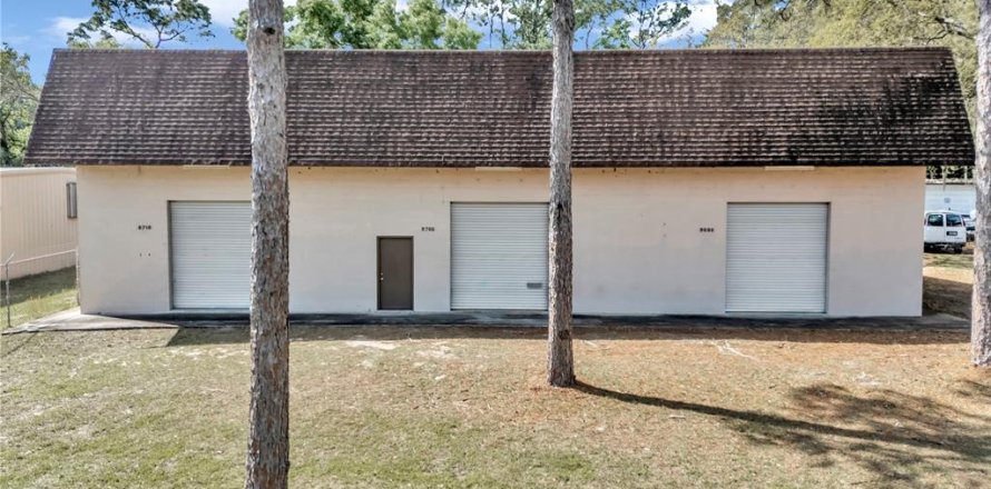 Immobilier commercial à Belleview, Floride № 1386721