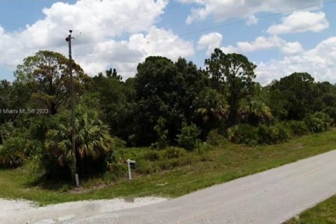 Terrain à vendre à Clewiston, Floride № 875862 - photo 4