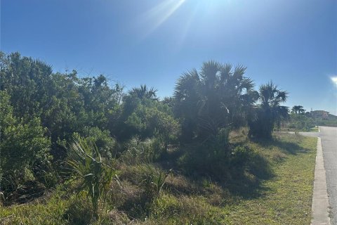 Land in Palm Coast, Florida № 1194407 - photo 7