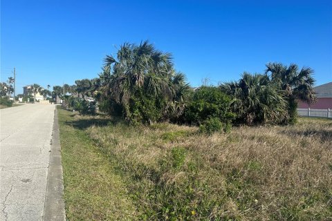 Land in Palm Coast, Florida № 1194407 - photo 3