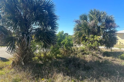 Land in Palm Coast, Florida № 1194407 - photo 5