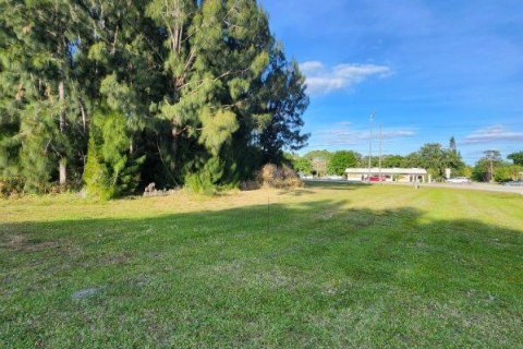 Land in Okeechobee, Florida № 1189777 - photo 1