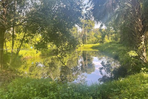 Land in Okeechobee, Florida № 850341 - photo 11