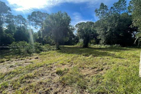 Terrain à vendre à Okeechobee, Floride № 850341 - photo 8