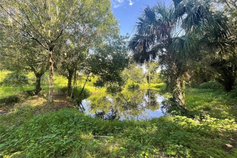 Land in Okeechobee, Florida № 850341 - photo 10