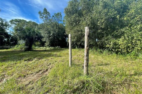 Terrain à vendre à Okeechobee, Floride № 850341 - photo 6