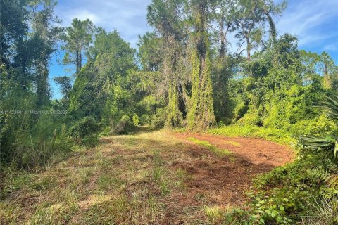 Land in Okeechobee, Florida № 850341 - photo 4