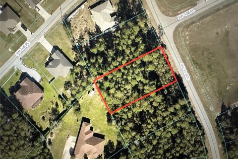 Terreno en venta en Ocala, Florida № 1369299 - foto 1