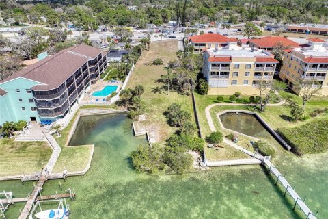 Terreno en venta en Englewood, Florida № 863744 - foto 6