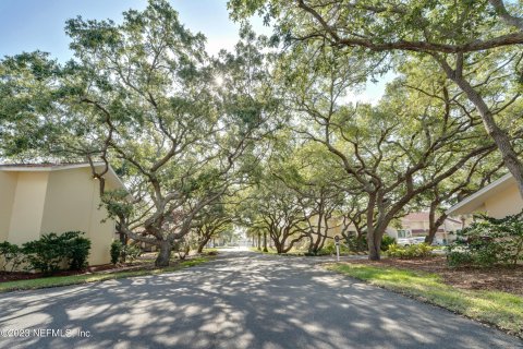 Villa ou maison à vendre à Saint Augustine, Floride: 2 chambres, 120.4 m2 № 767421 - photo 9